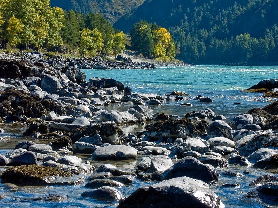 Река кумир горный Алтай
