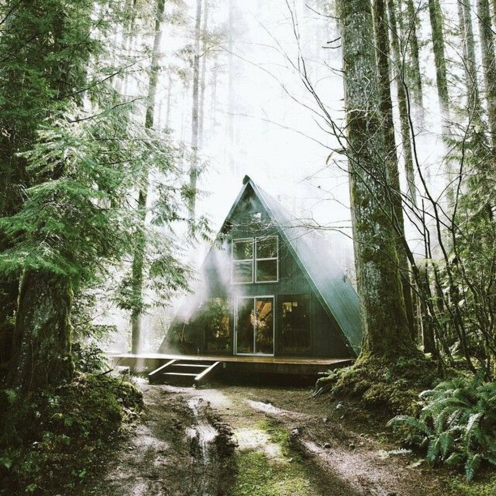 Уединенный домик в лесу