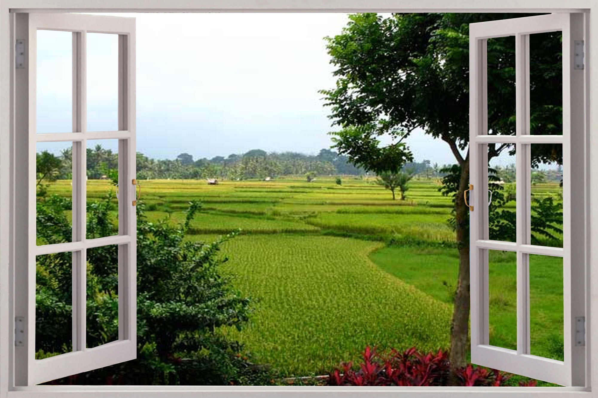 Window appear. Окно с красивым видом. Окно в природу. Окно с видом на природу. Вид из окна.