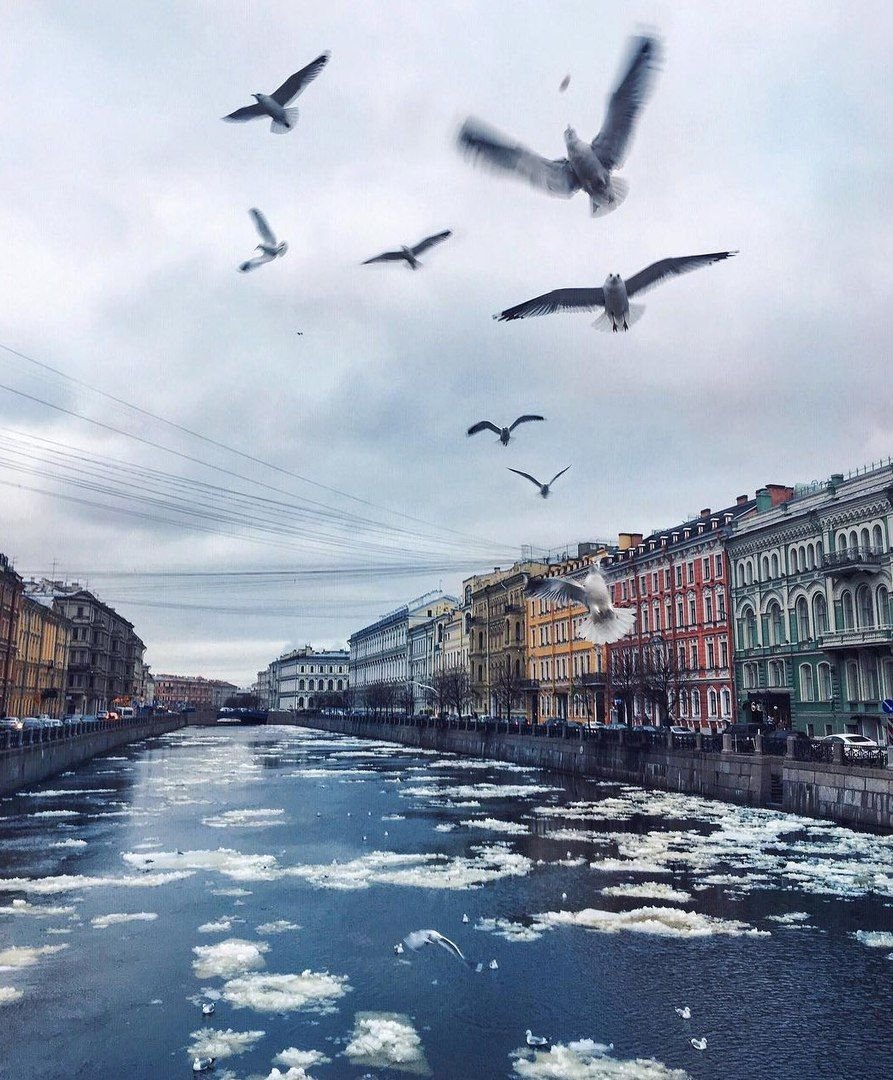 Эстетичные места Санкт-Петербурга