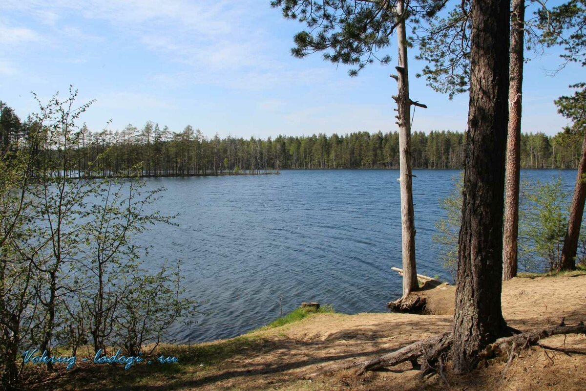 Озеро Сариярви Лоймола