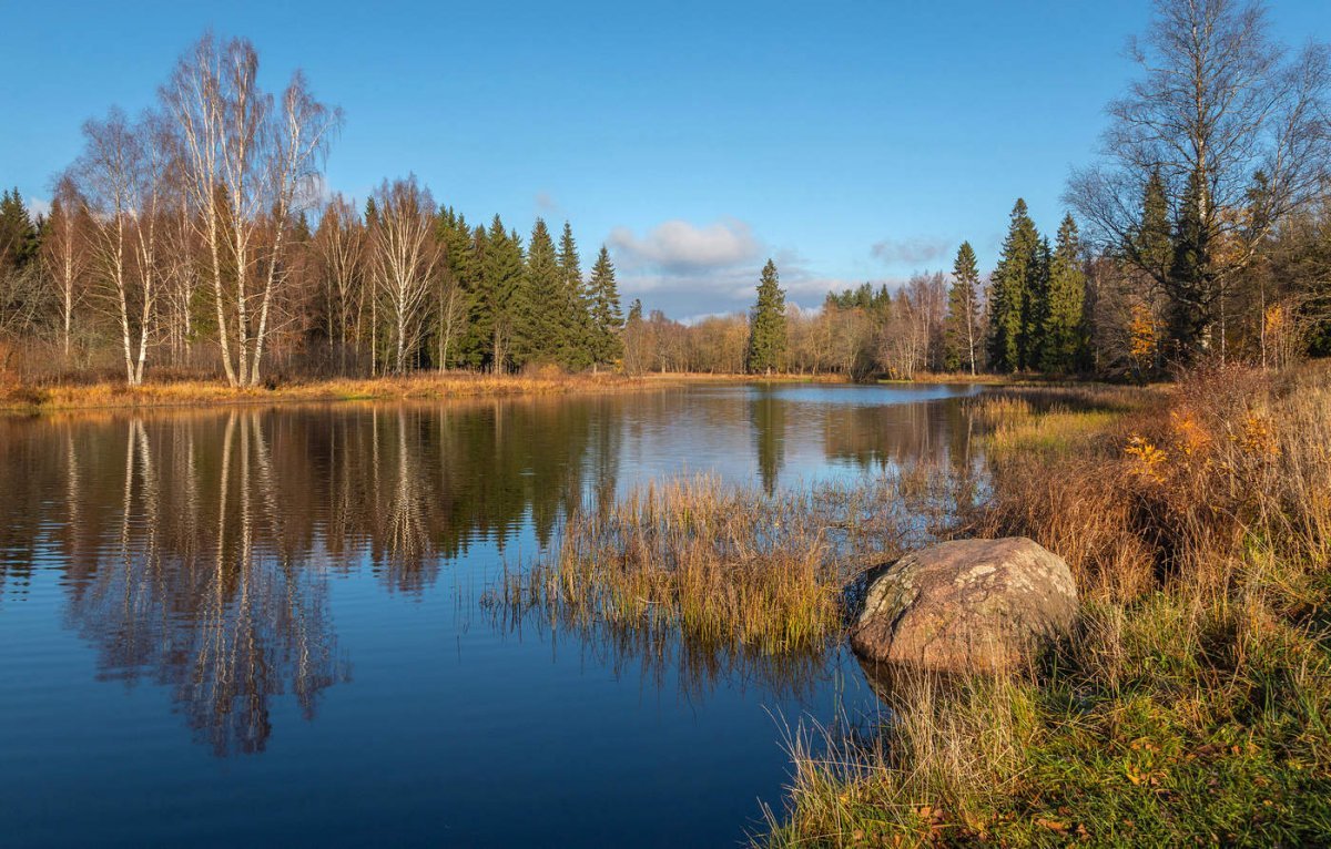 Шапки Ленинградская область Нестеровское озеро