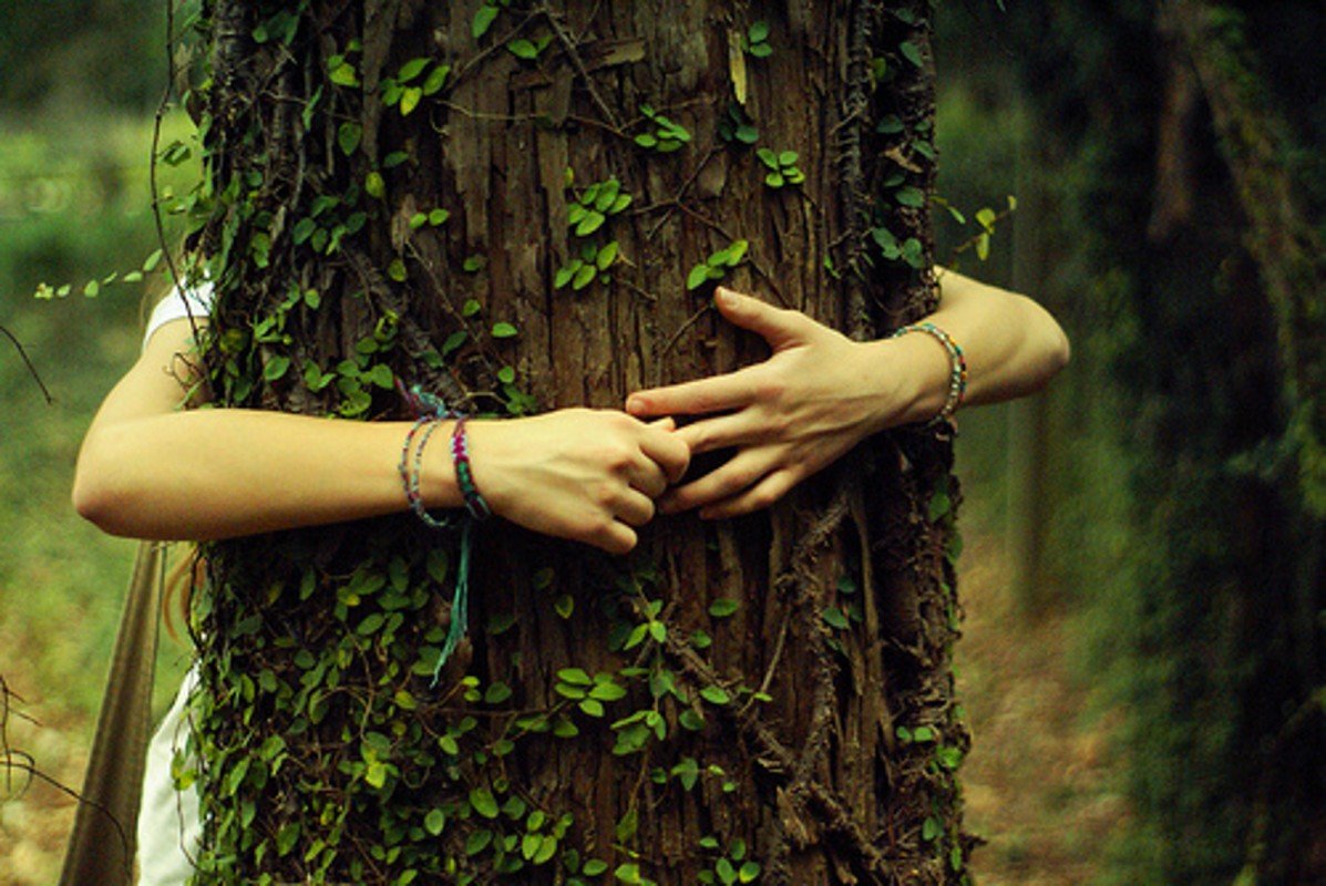 Девушка обнимает дерево