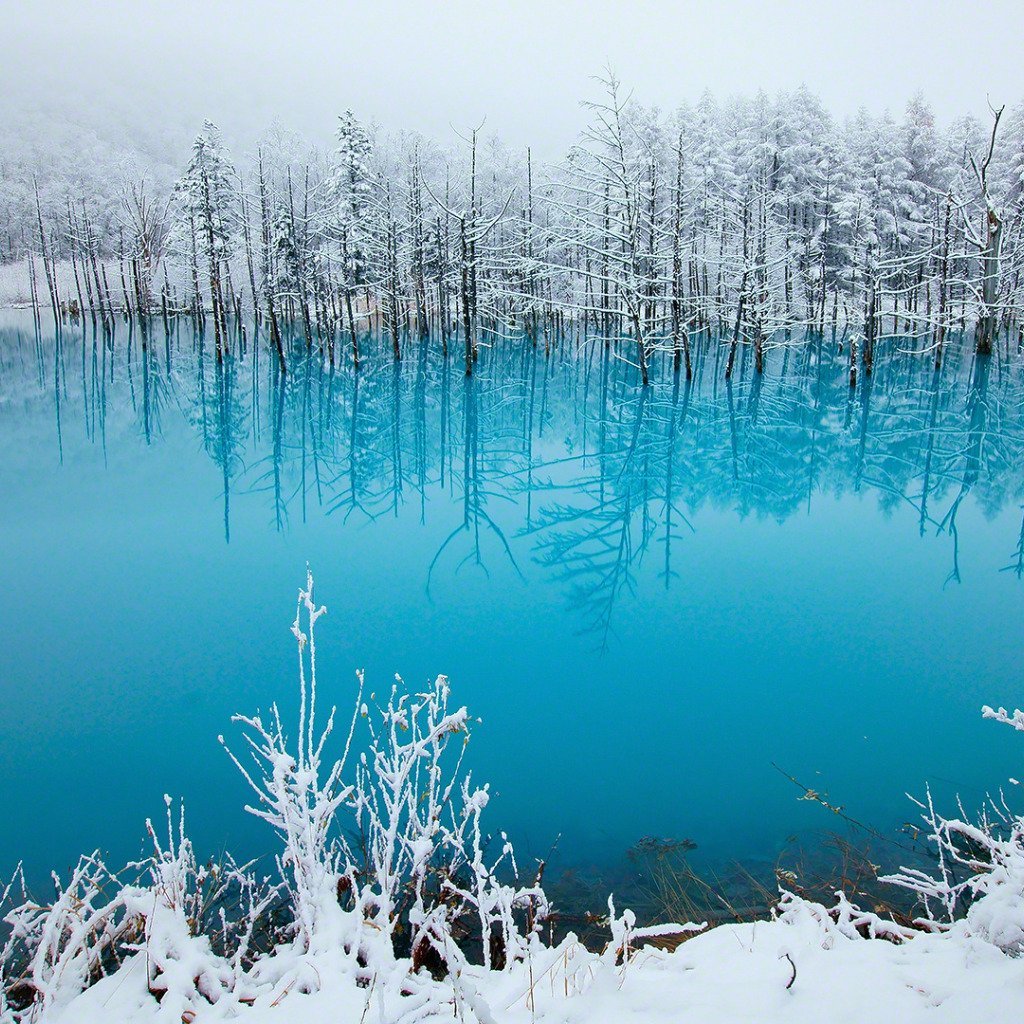 Воскресенск белая гора и голубое озеро