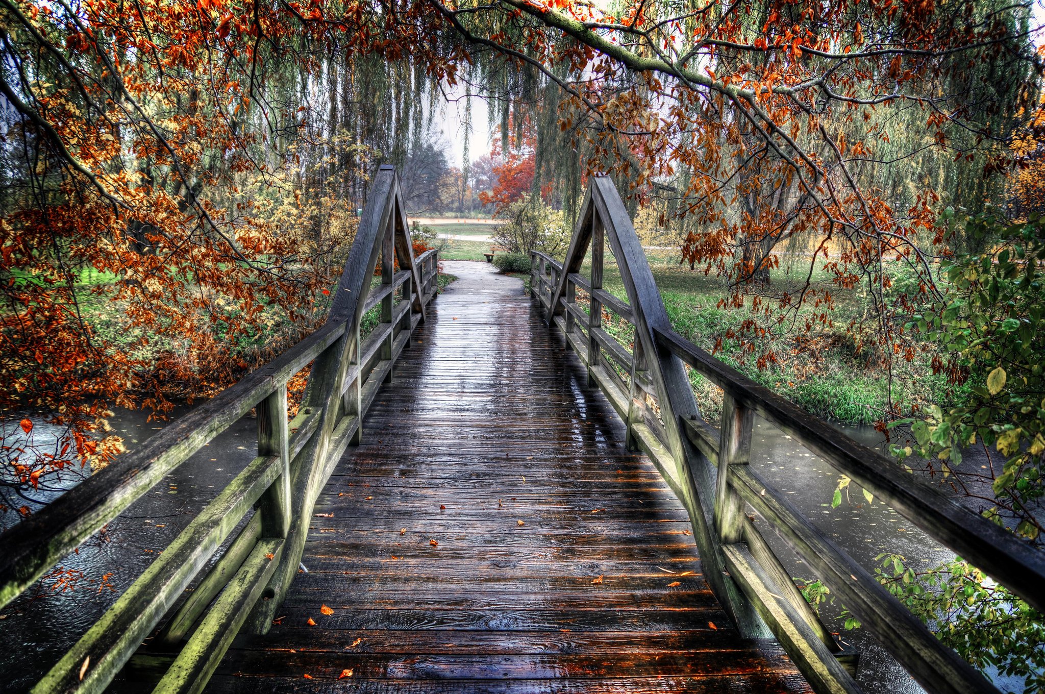 Мост после дождя