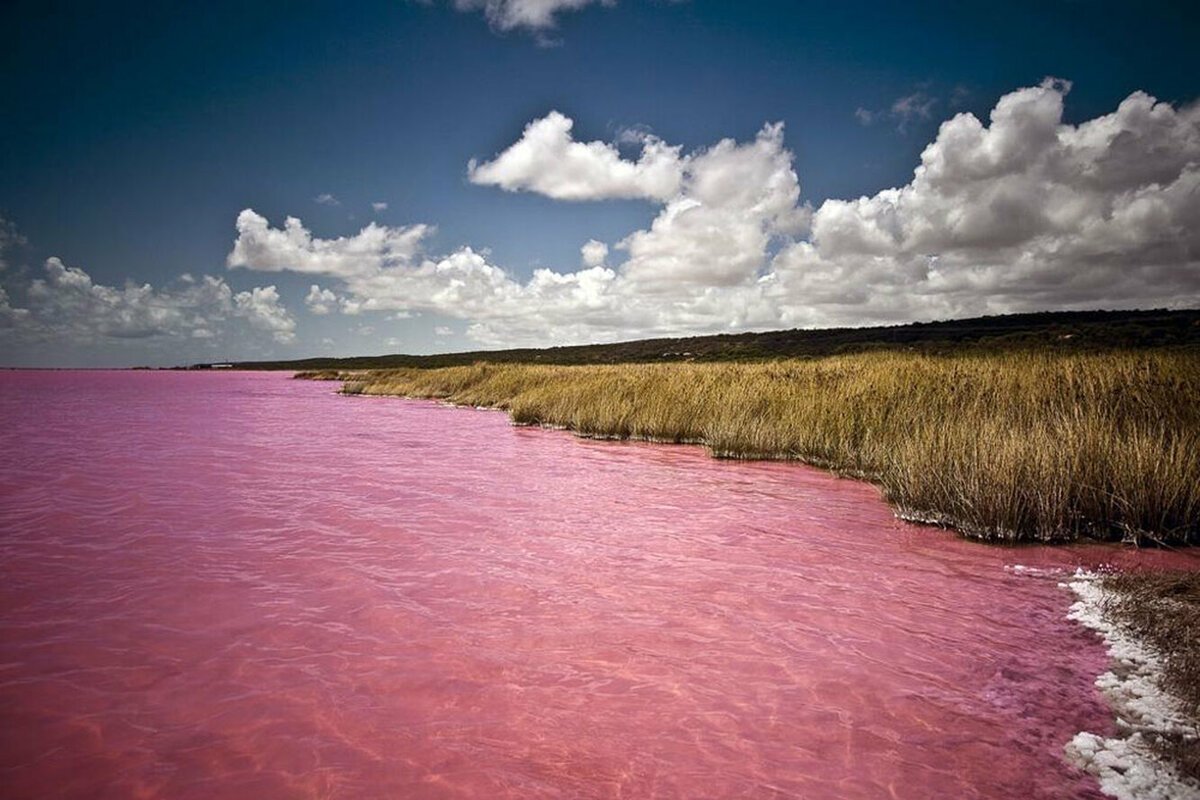 Розовое озеро Ретба