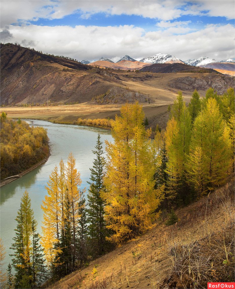 Природа Алтайского края осень