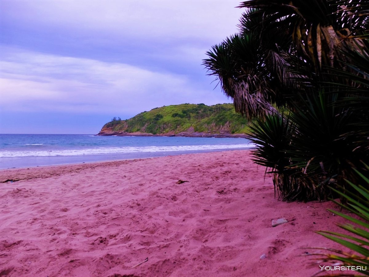 Комодо Индонезия розовый пляж