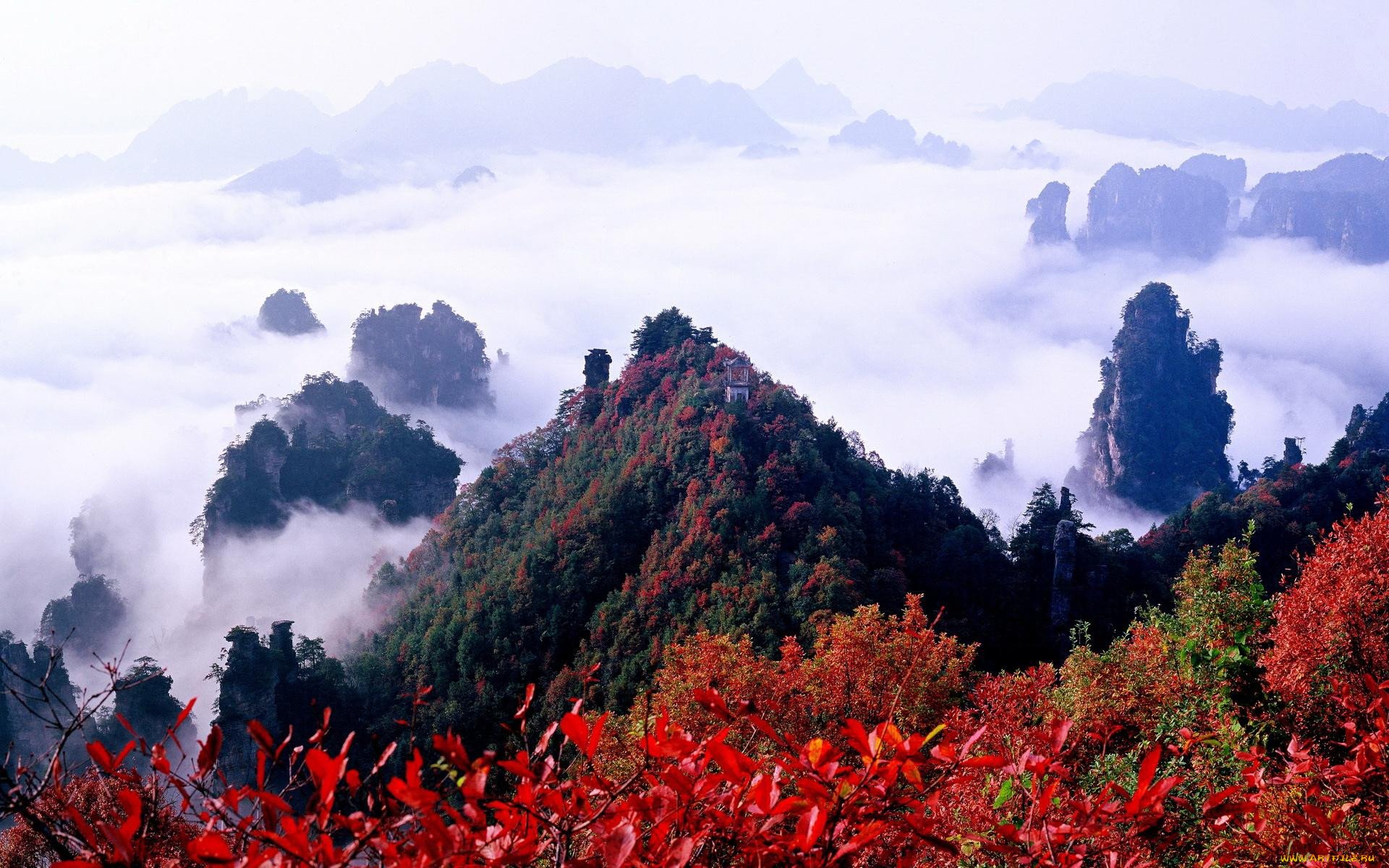 Восточно китайские горы. Национальный парк Чжанцзяцзе Китай. Национальный парк Хуаншань в Китае. Горы Улинъюань. Горы аватара Китай национальный парк Чжанцзяцзе.