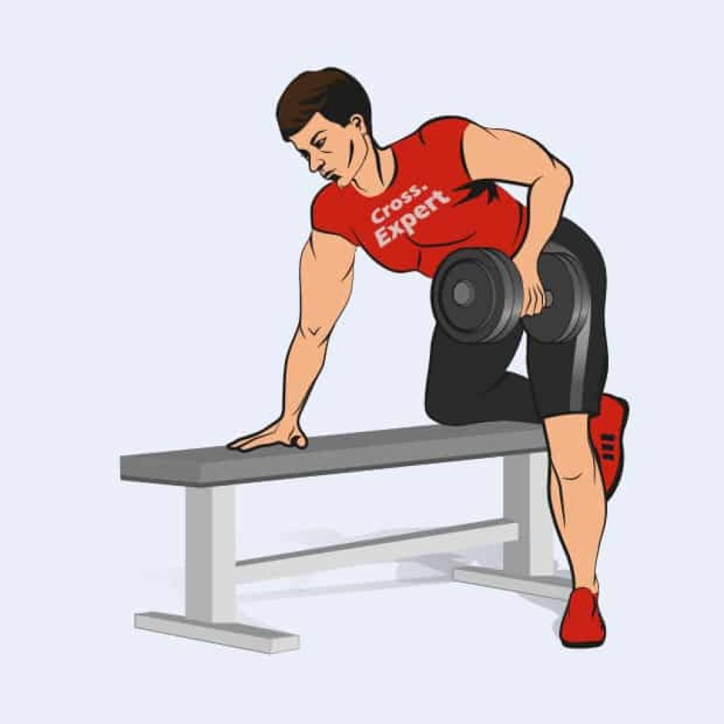 Широчайшая мышца спины упражнения с гантелями