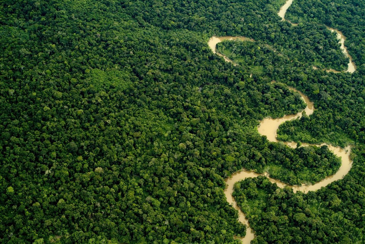 Амазонская Сельва Колумбия