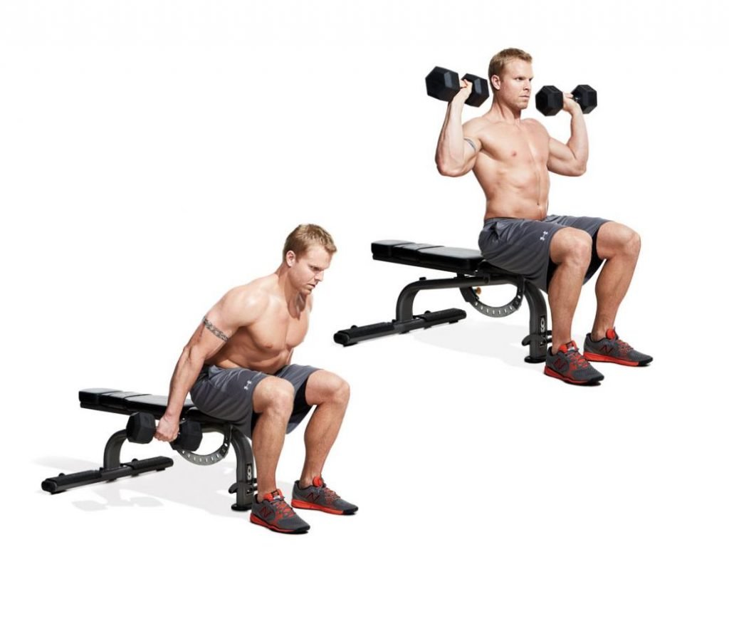 Seated alternating Dumbbell Curl