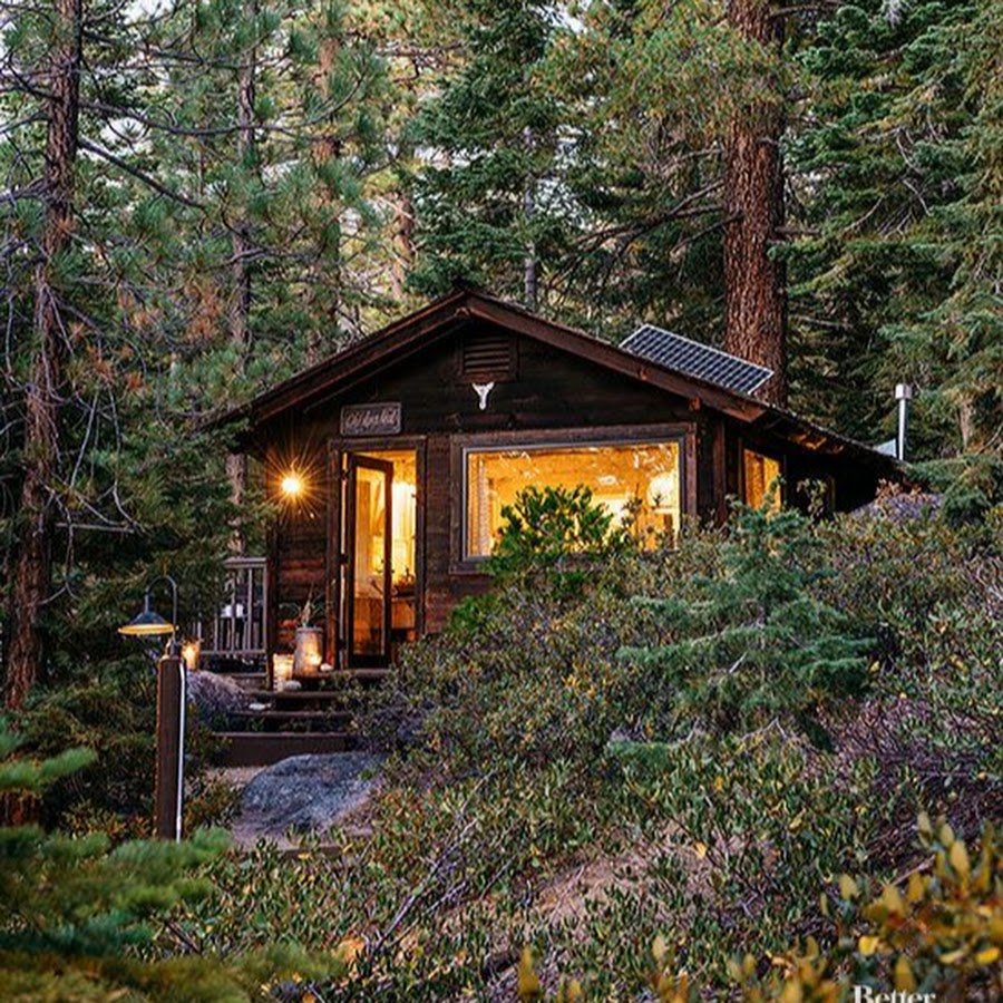 Деревянный домик в лесу