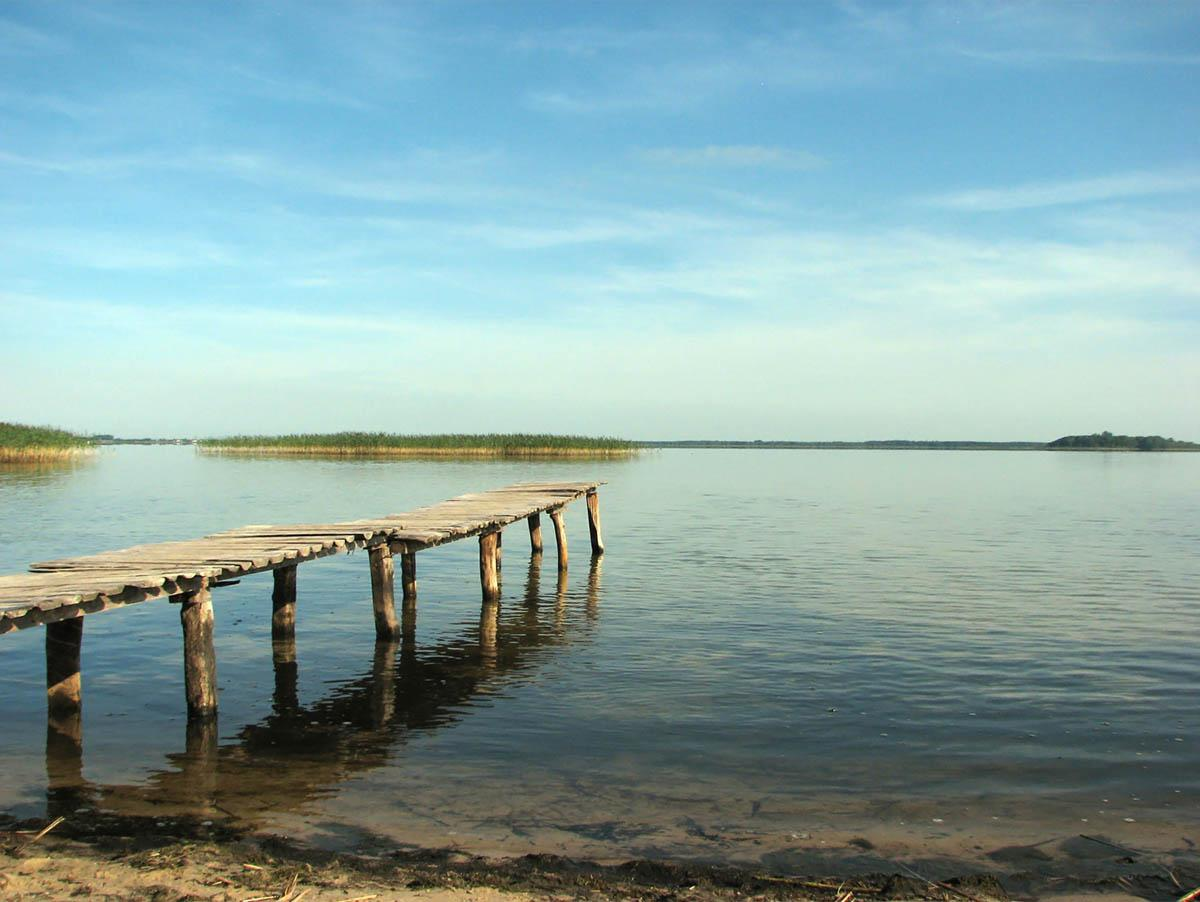 Озеро Полуозерье Витебская область фото