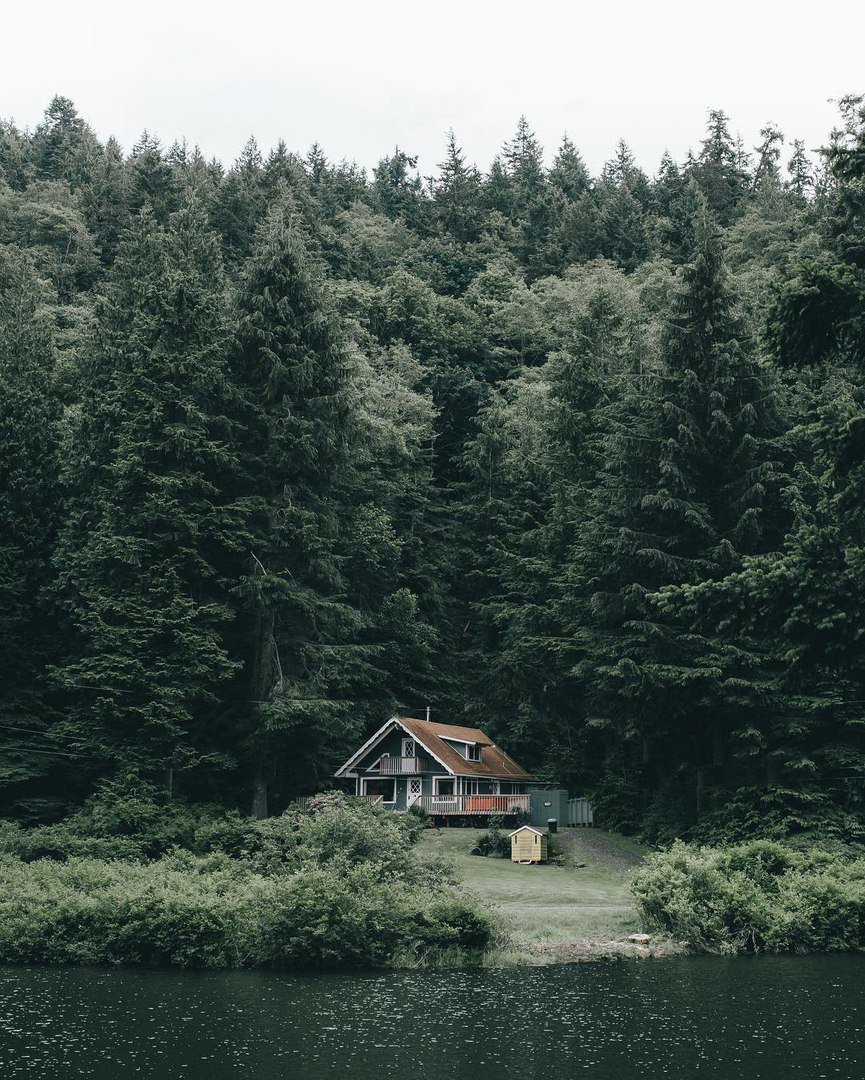 Большой дом в лесу