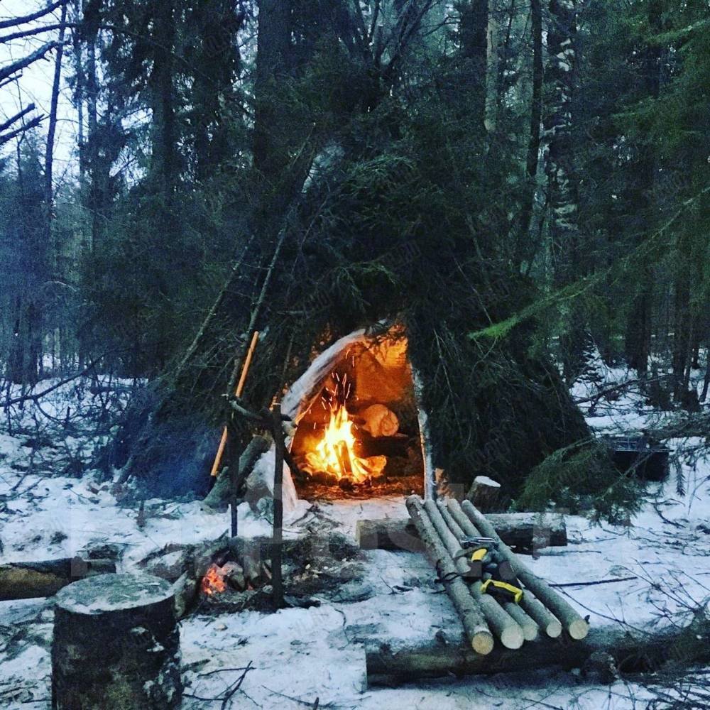Выживание в зимнем лесу