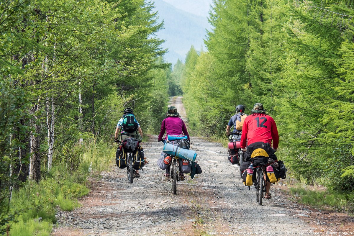 Велосипед для лесных дорог