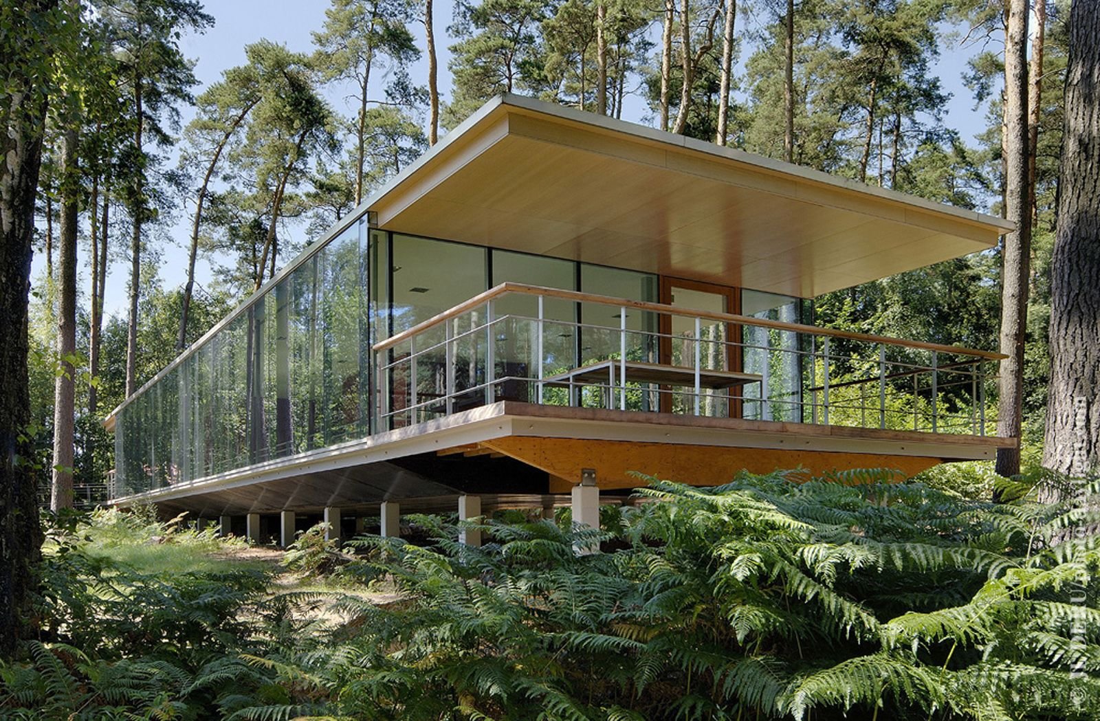 Прозрачный дом в лесу