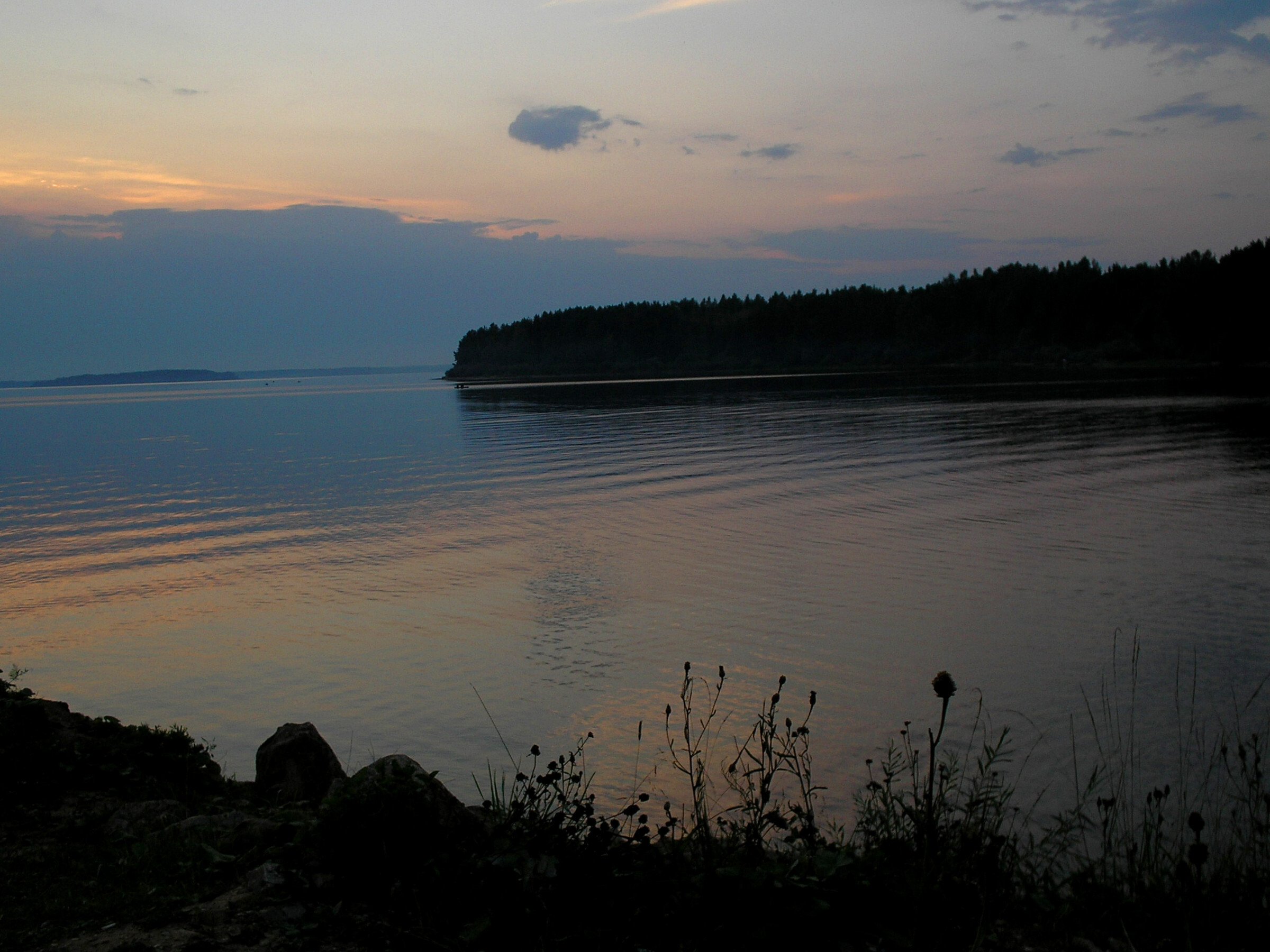 Озеро волго тверская. Сосновый Бор озеро Волго. Селище озеро Волго. Селижаровский район озеро Волго.