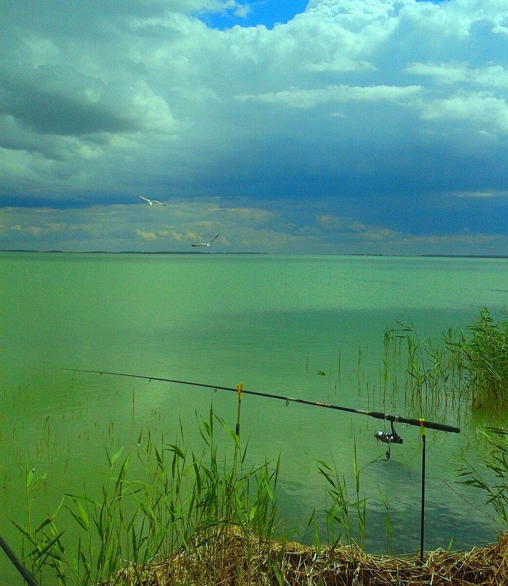 Озеро маслеево
