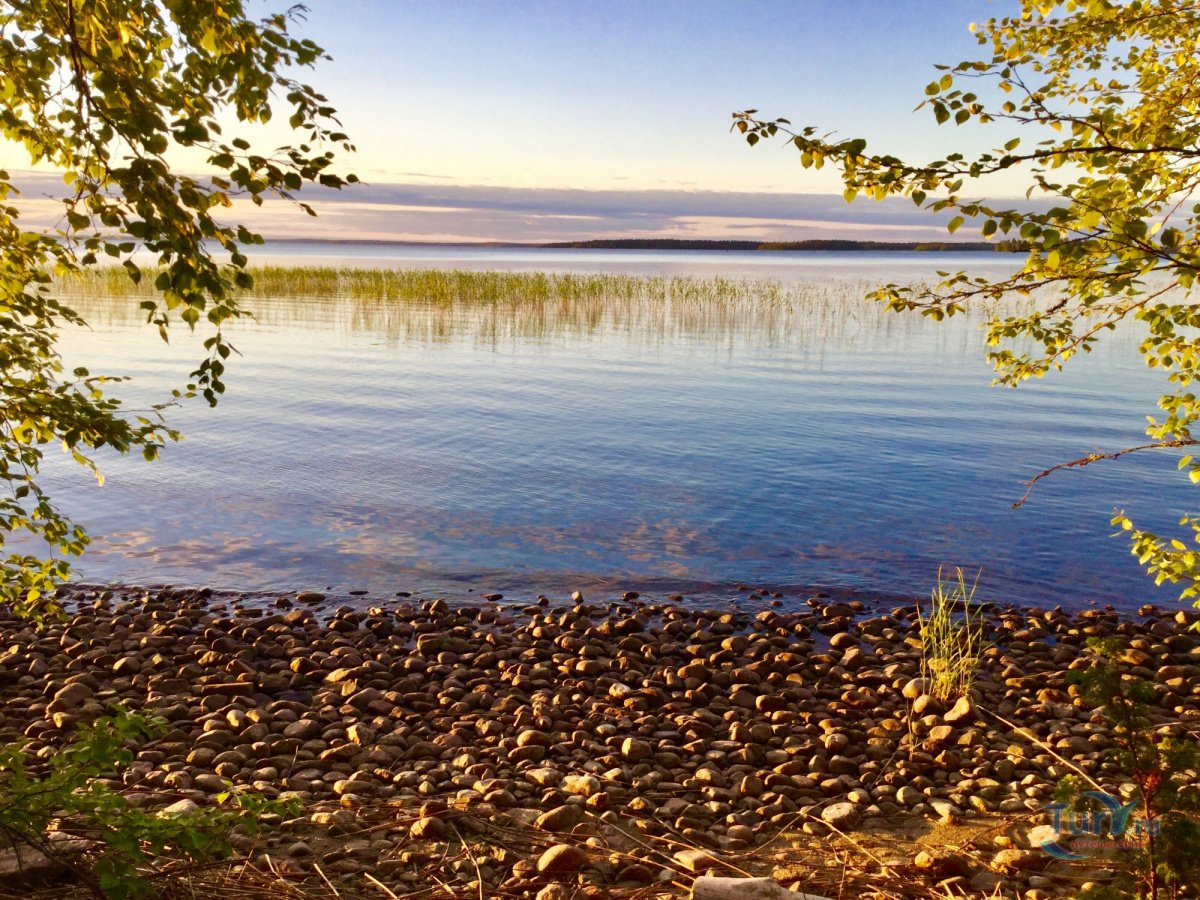 Озеро Сартлан Новосибирская область