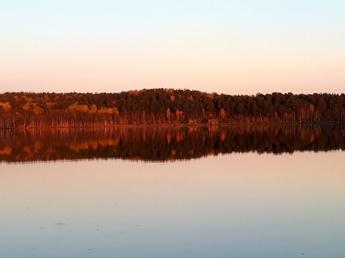 Белое озеро Ленинградская область Тосненский