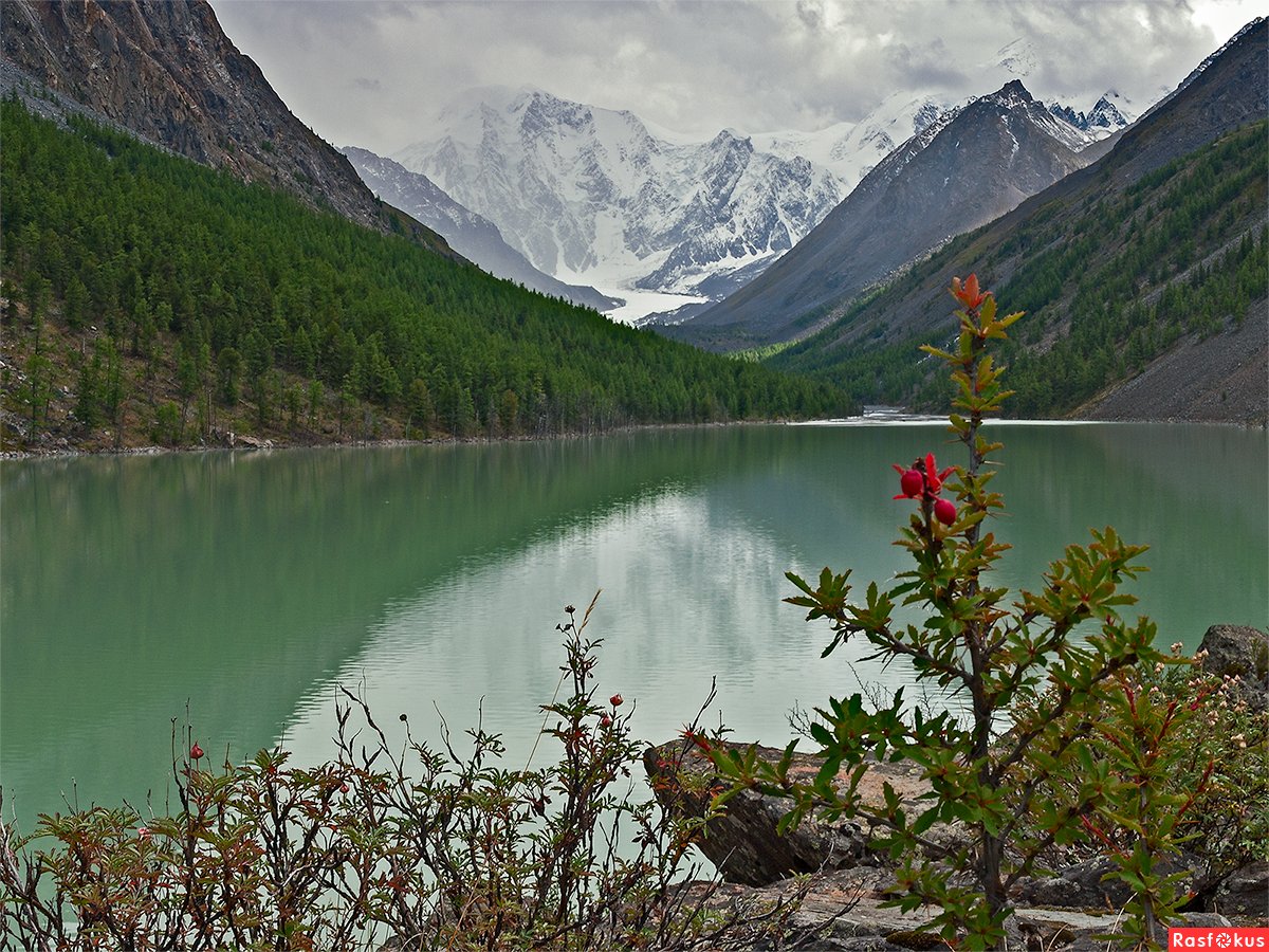 Озеро Маашей Алтай