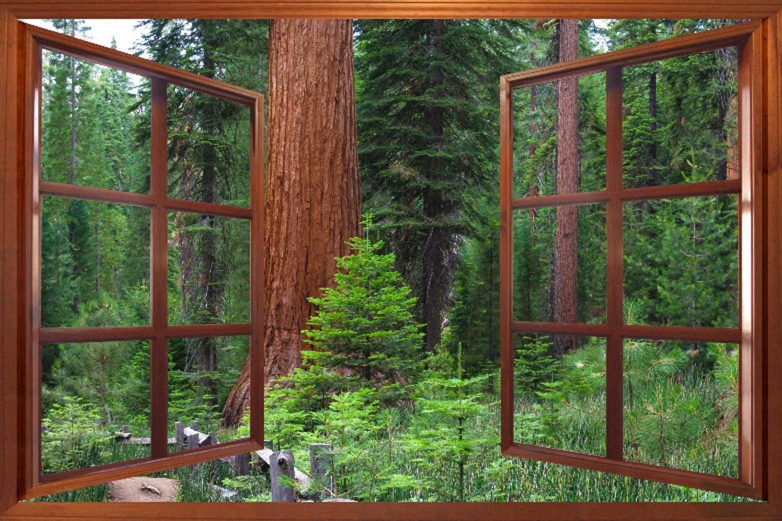 Из окна видна река. Вид из окна на лес. Лес за окном. Панорамное окно с видом на лес. Окно с видом на Сосновый лес.