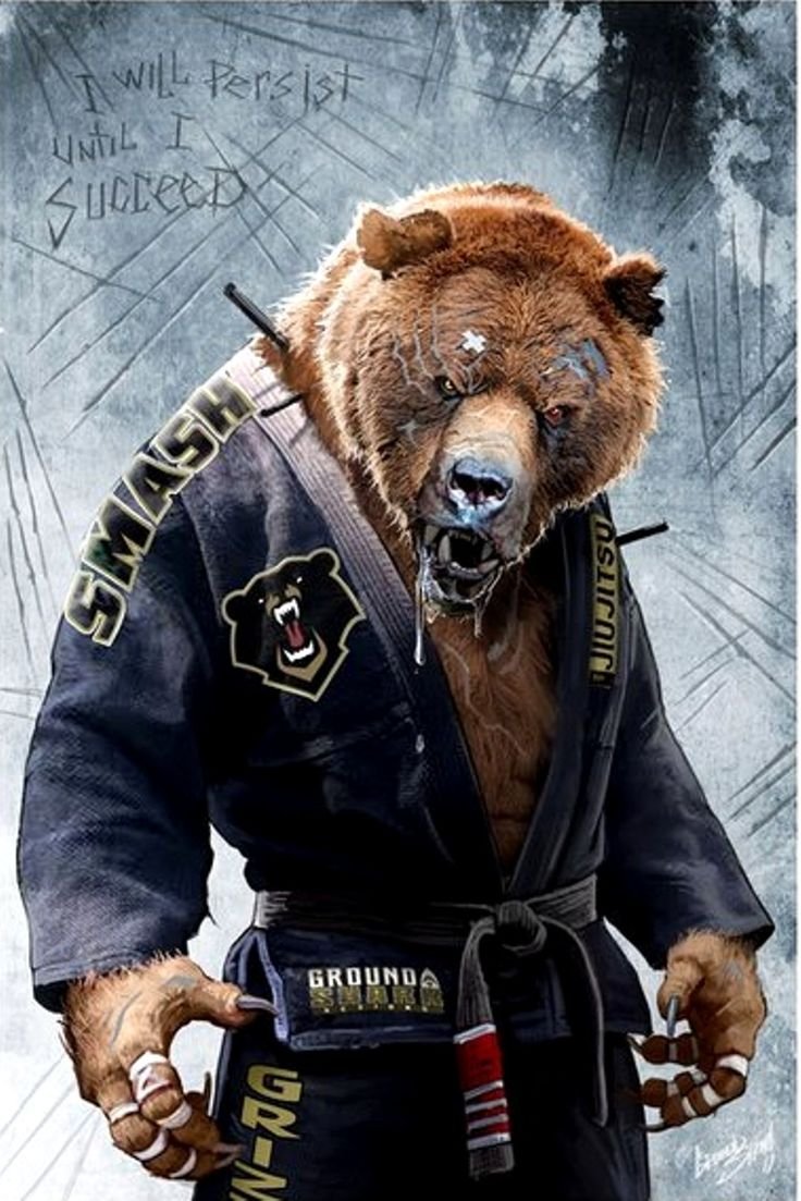 Бразильское Jiu Jitsu медведь