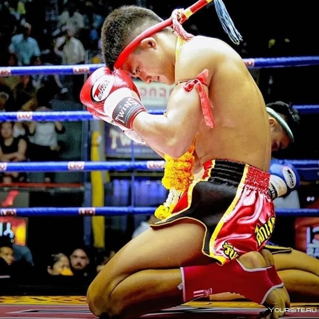 Проф тайский бокс