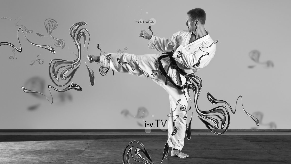 Тхэквондо Art