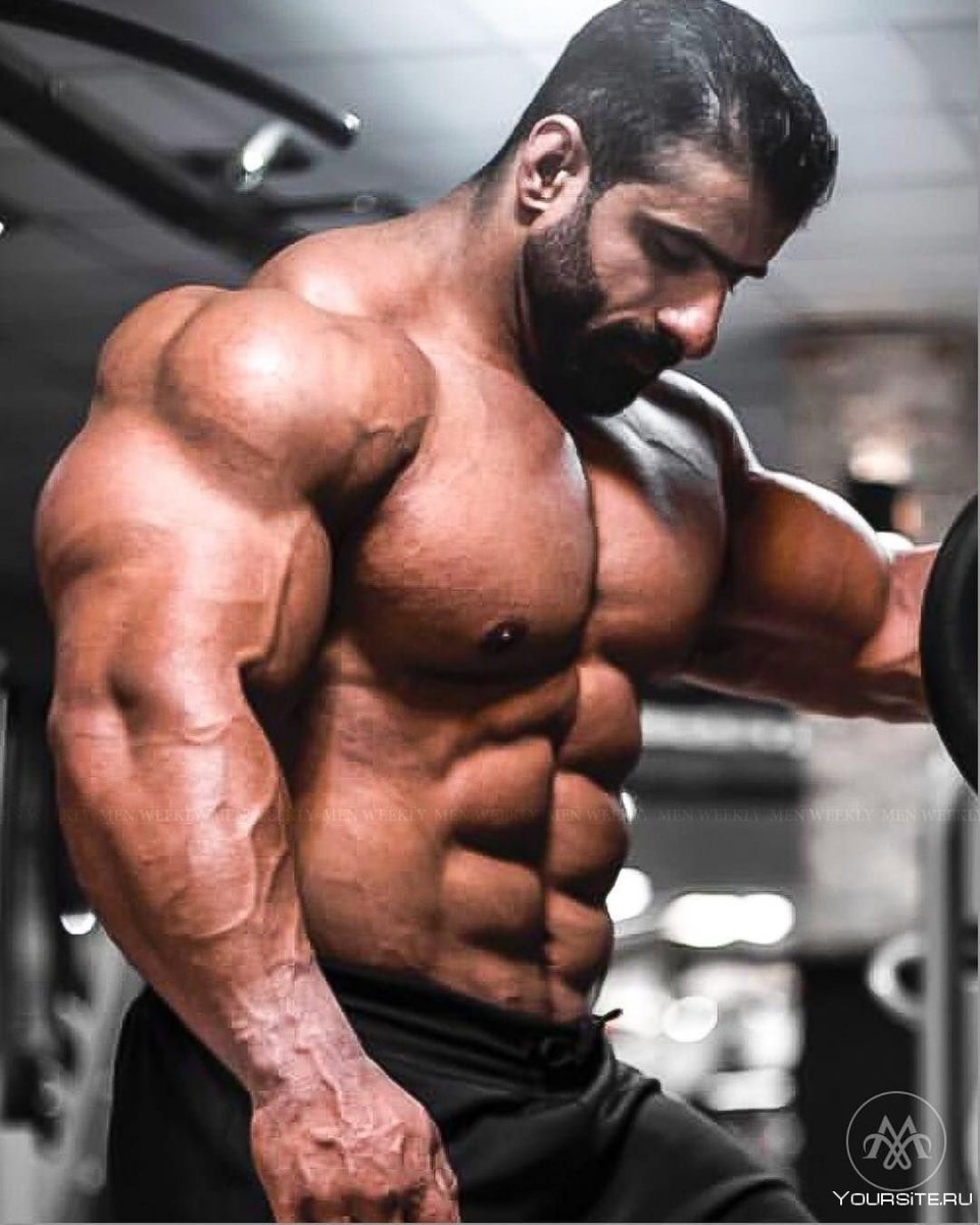 Tristyn Lee трансформации