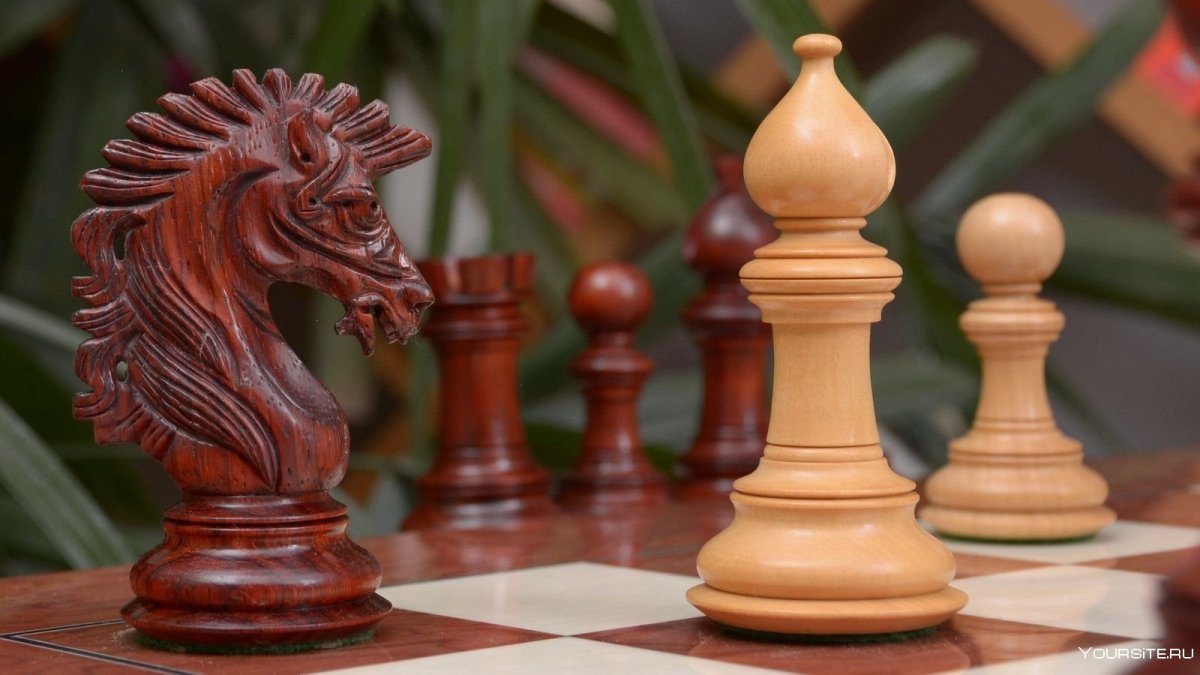 Слон в шахматах