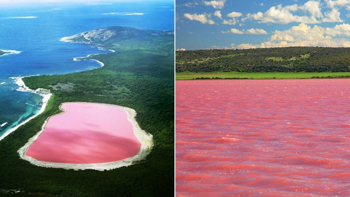 Розовое озеро Хиллер Хиллер
