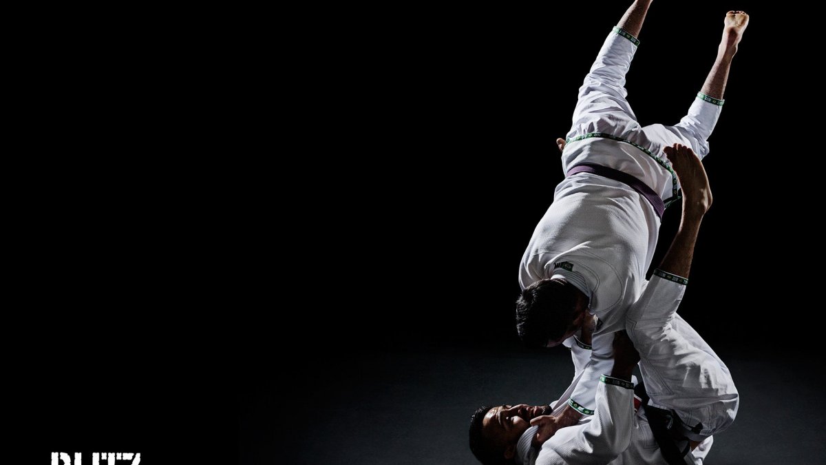 Judo Bear