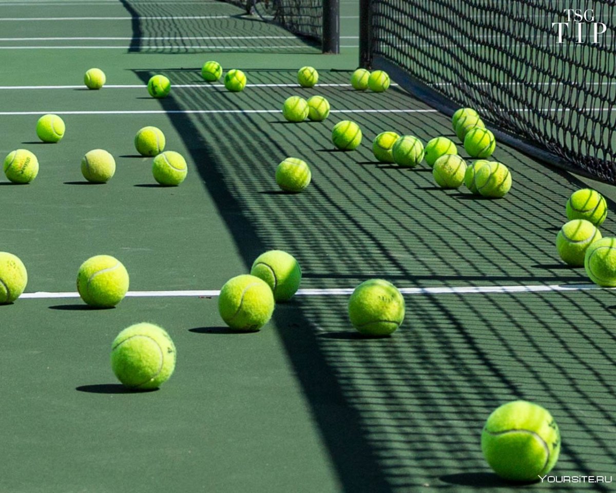 Теннисный корт зеленый