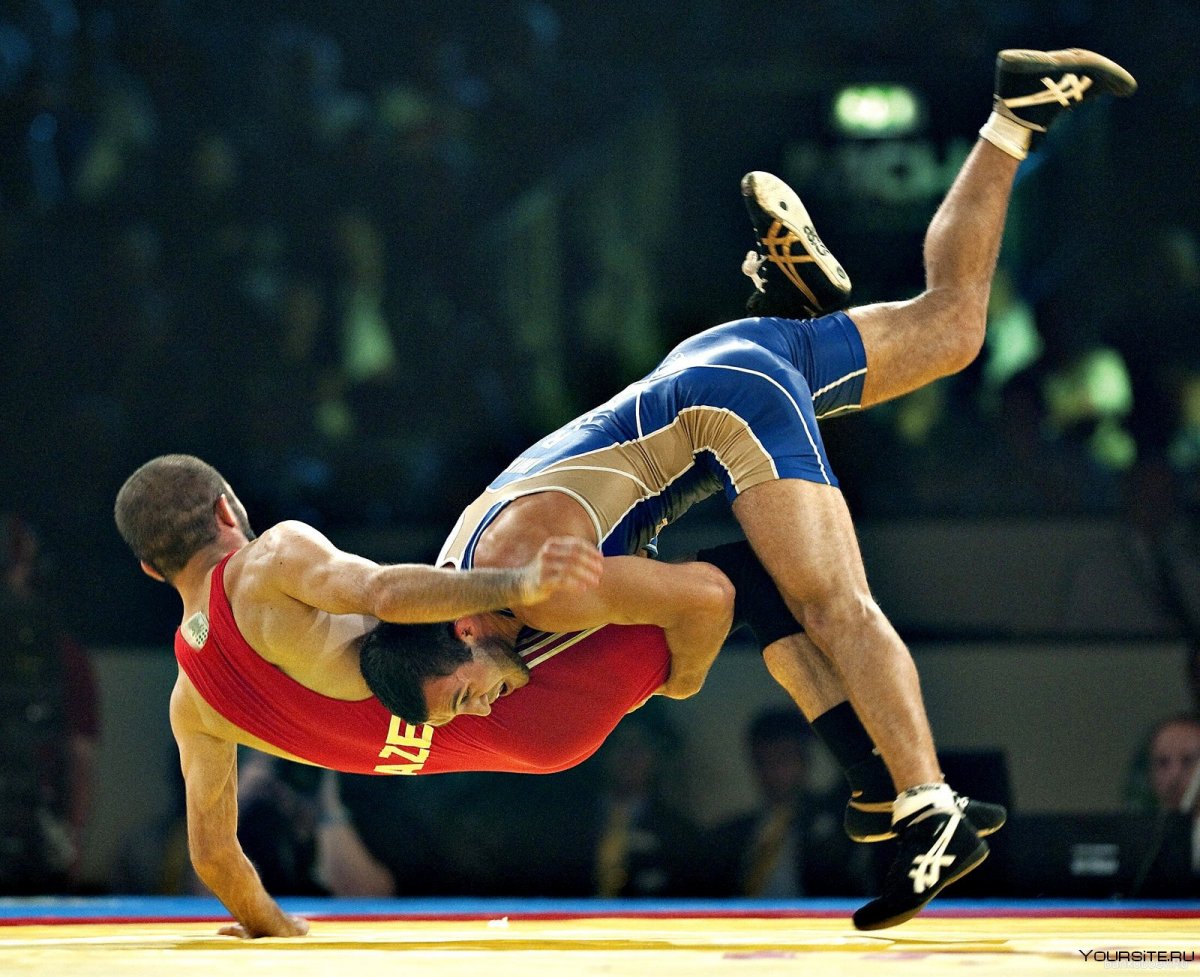 Спорт борьба Вольная