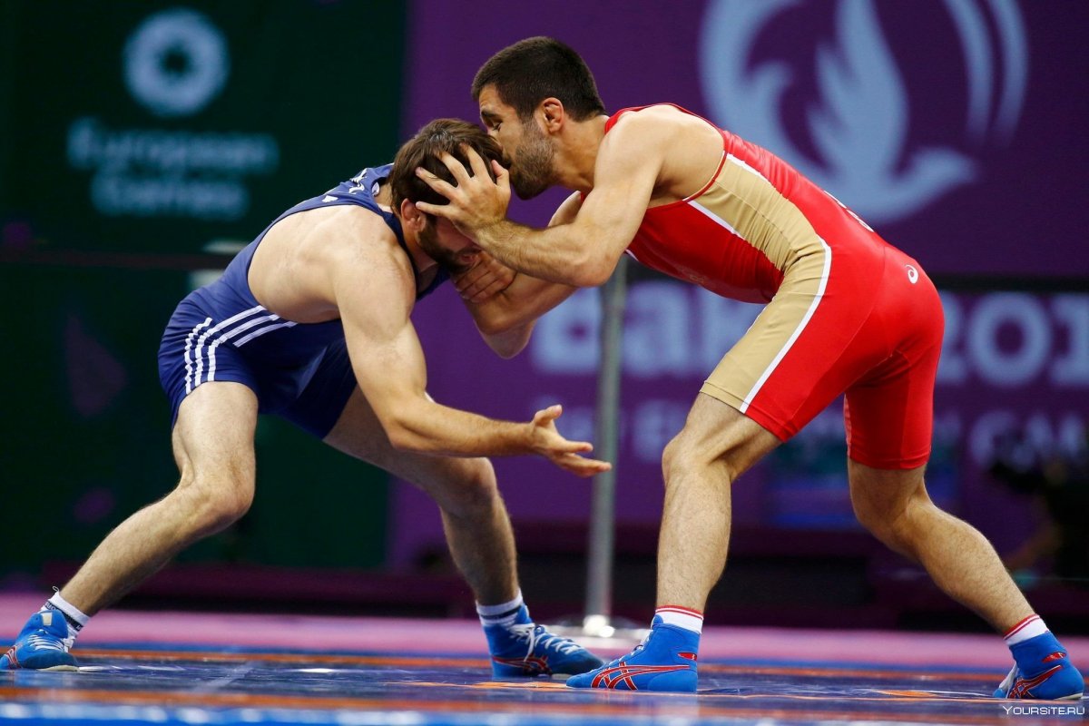 Спорт борьба Вольная