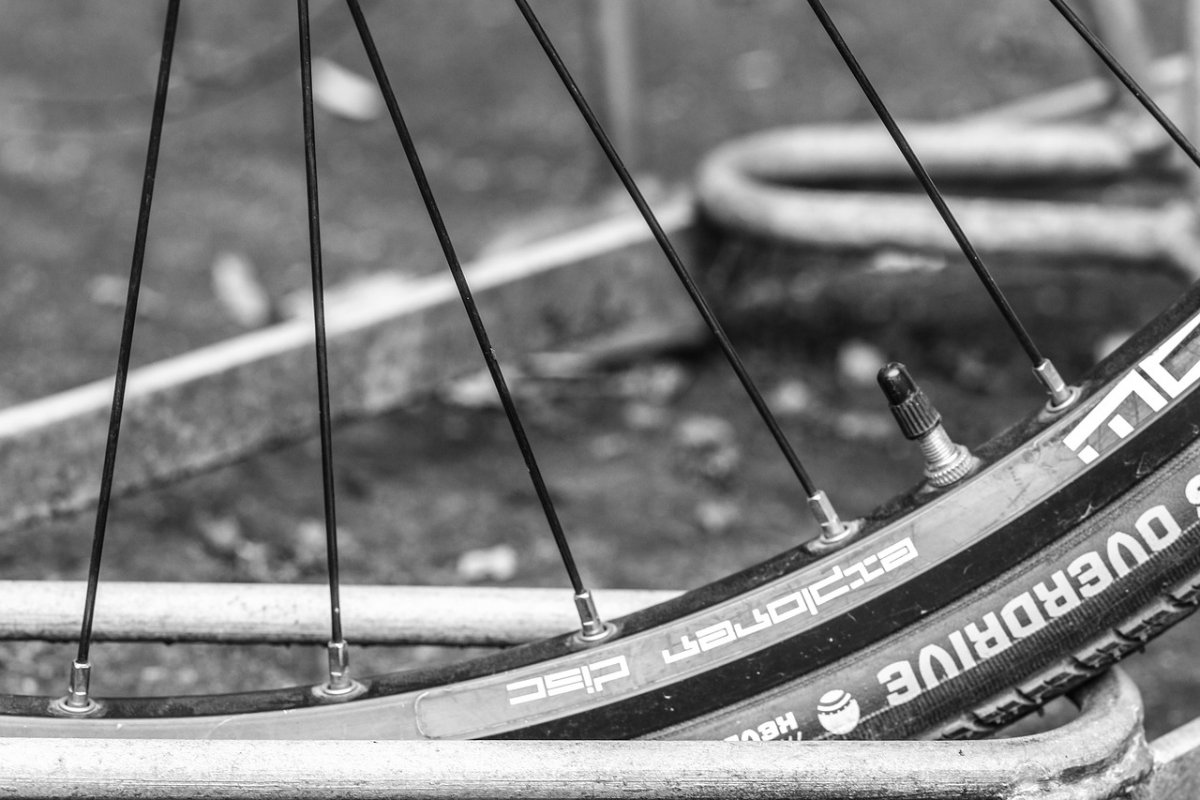 Фотографии на колесе велосипеда прищепками