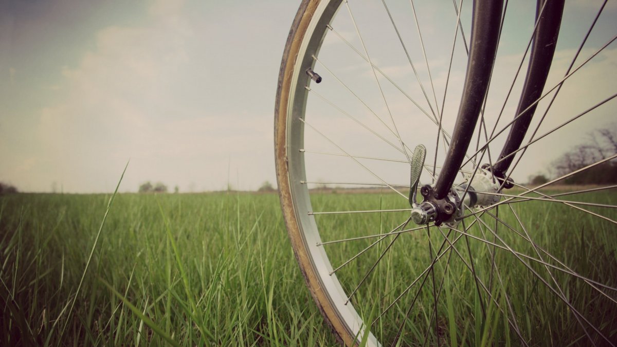 Колесо велосипед на траве бу