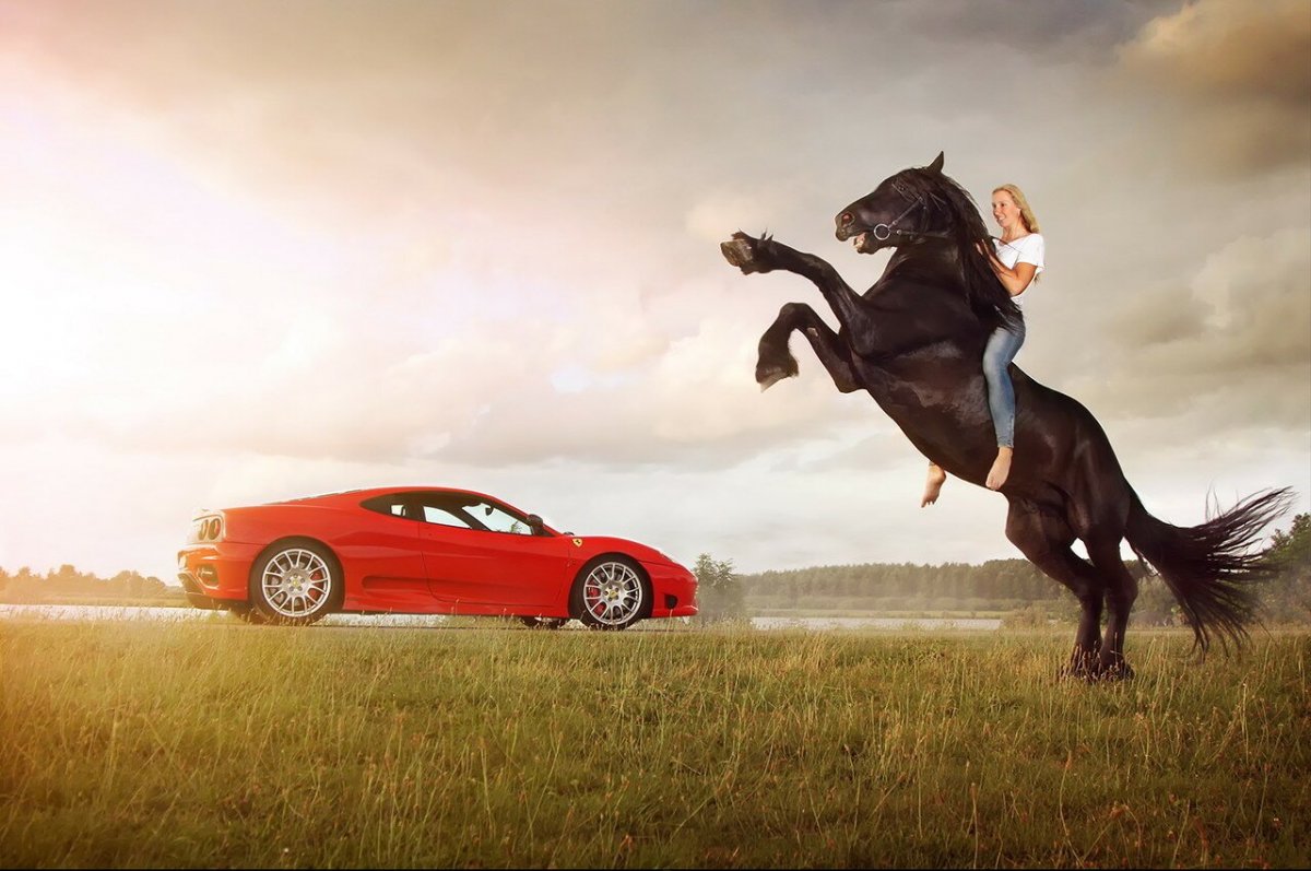 Лошадь и автомобиль