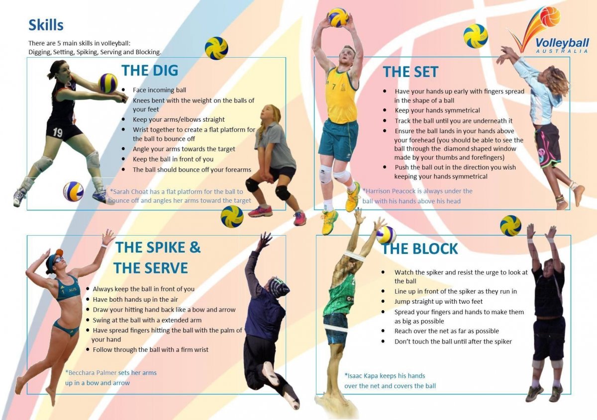 Волейбол инфографика