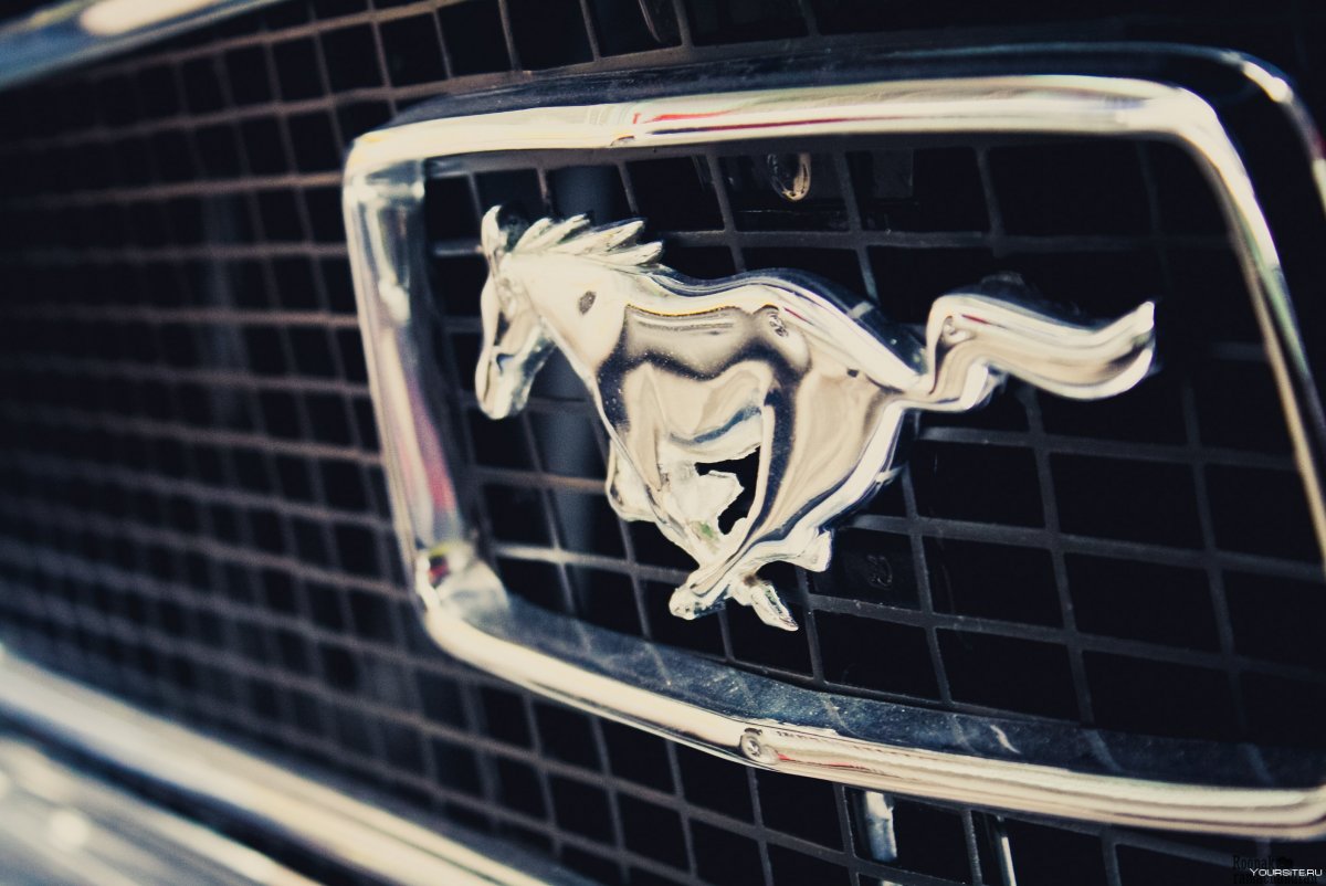 Знак Форд Мустанг лошадь