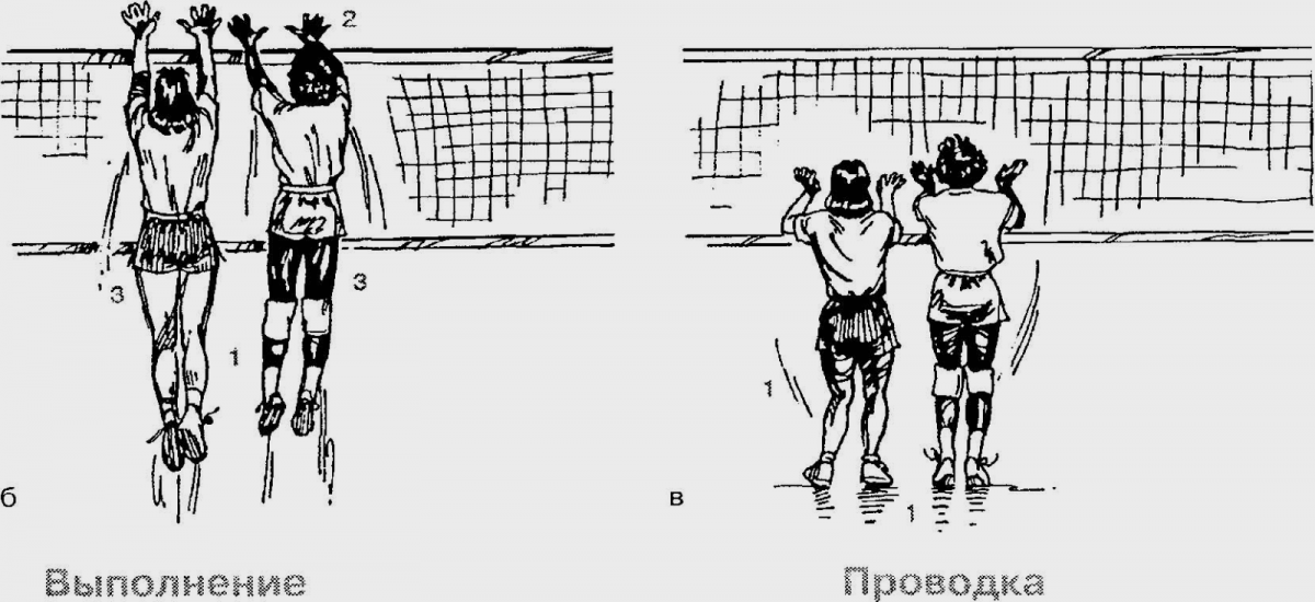 Упражнения для развития прыгучести у волейболистов