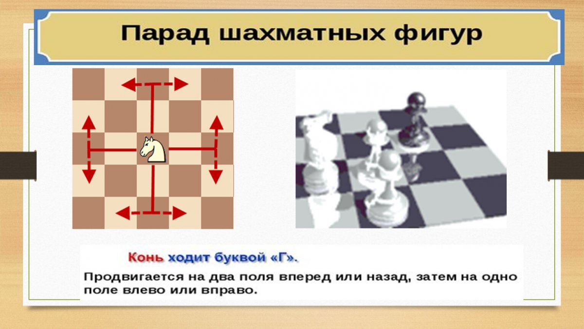 Название фигур в шахматах и как они выглядят фото