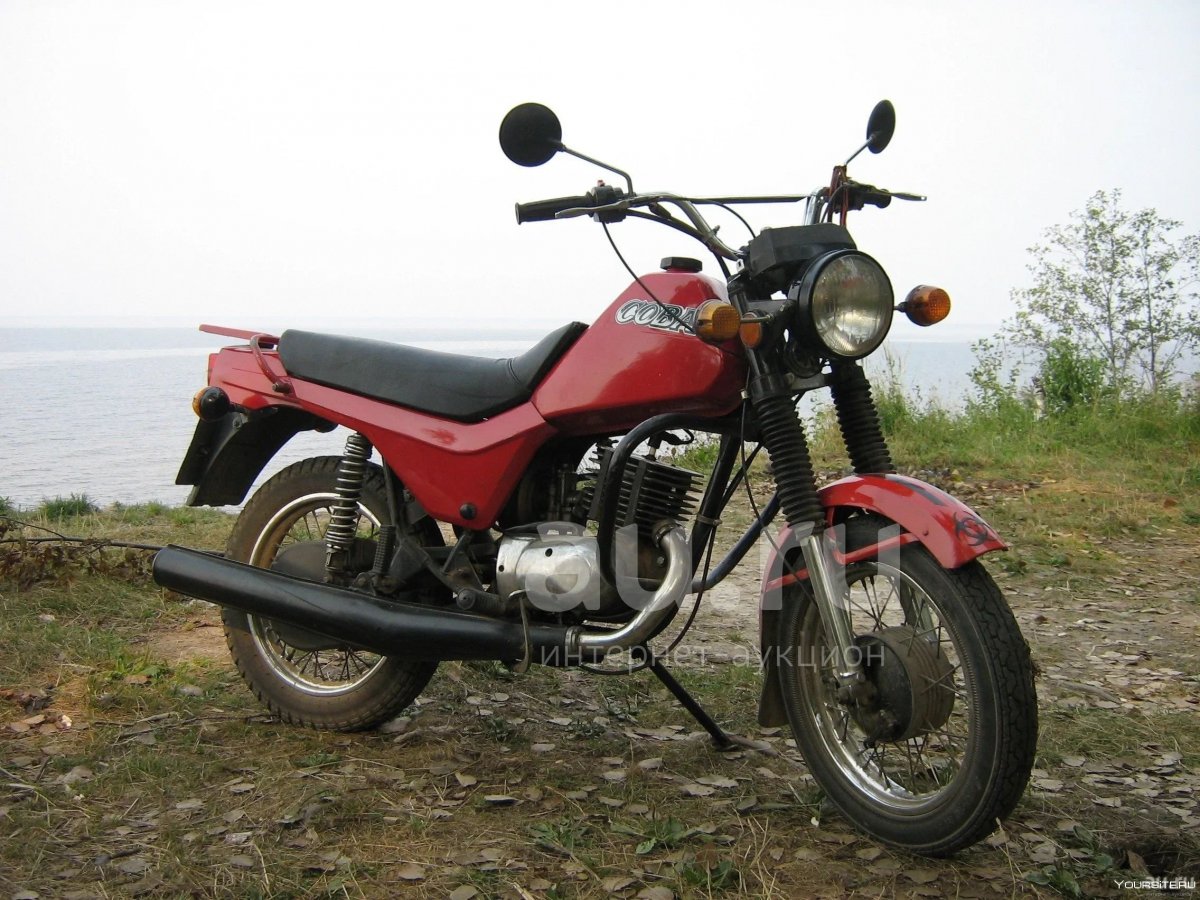 Сова 200 кубов
