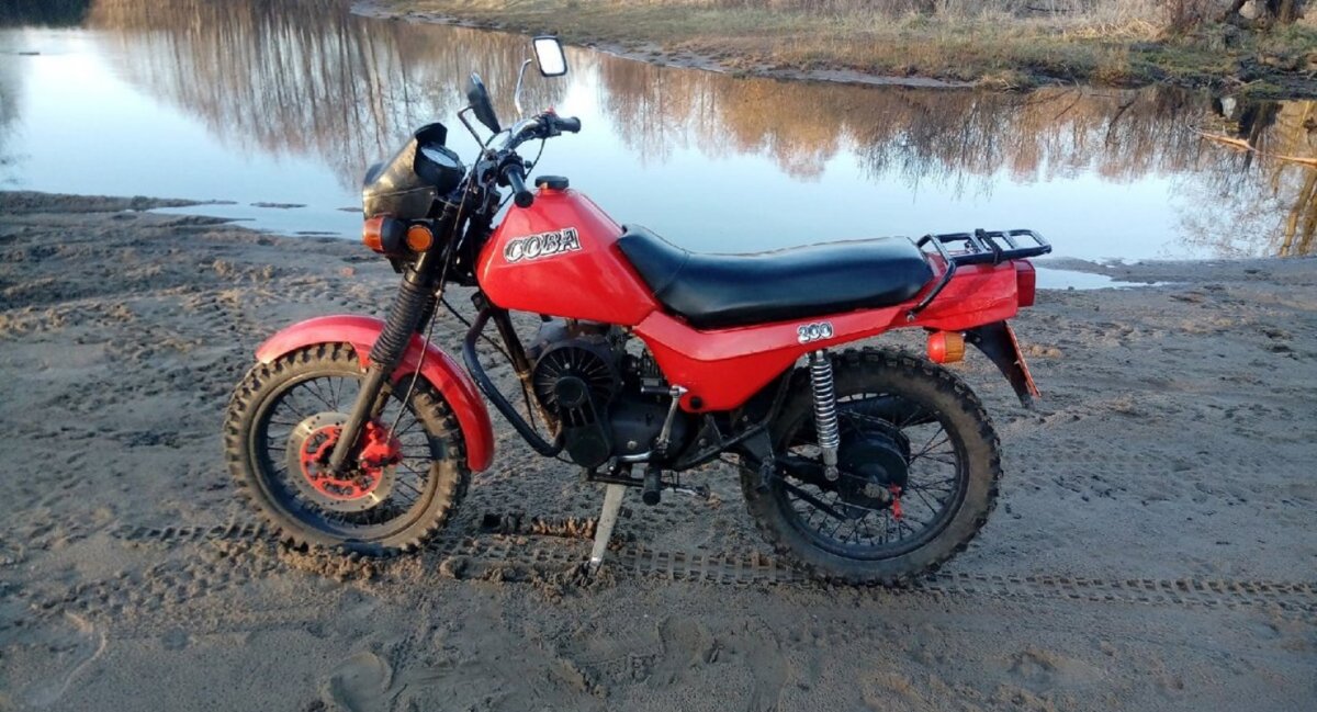 ЗИД 100