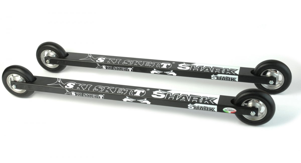 Лыжероллеры Ski skett Rookie Skating 80x30