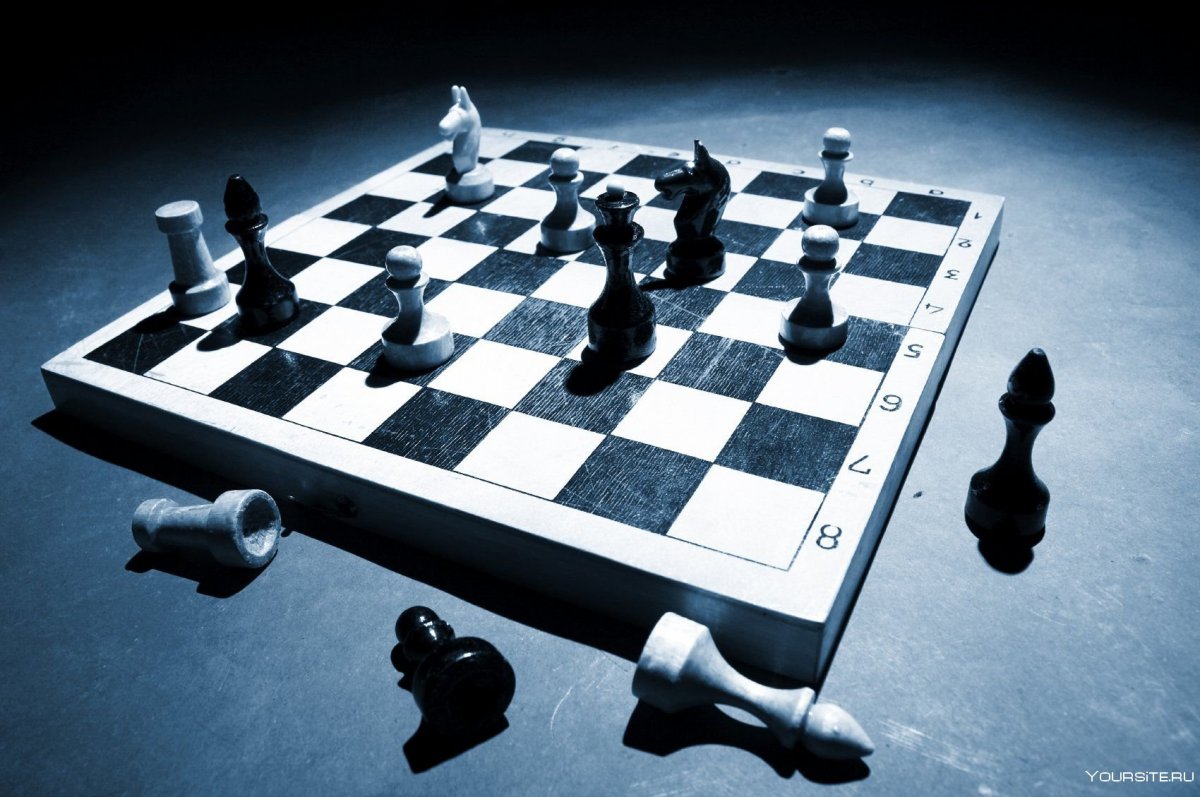 Шахматное поле