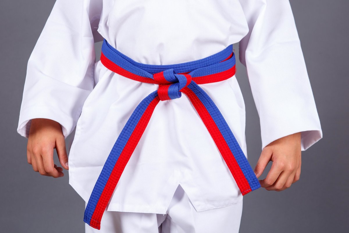 Taekwondo красный пояс